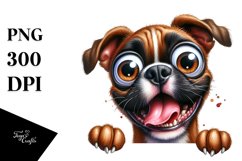Funny Popping Eyes Boxer | Sublimation | Clipart Product Image 3