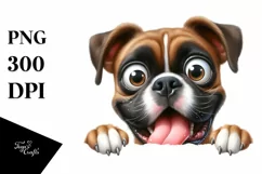 Funny Popping Eyes Boxer | Sublimation | Clipart Product Image 1