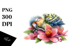 Sleeping Baby Parrot PNG Product Image 1
