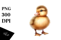 Digital Watercolor Baby Duck PNG Product Image 1