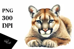 Watercolor Low Detail Cougar Clipart Product Image 3