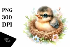 High Detail Baby Bird PNG Product Image 1