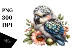 Sleeping Baby Parrot PNG Product Image 1