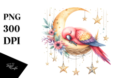 Vibrant Cute Parrot Moon Stars Boho Watercolor Clipart Product Image 1
