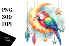 Vibrant Cute Parrot Moon Stars Boho Watercolor Clipart Product Image 1