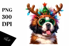 a Colorful Saint Bernard with Crazy Haircut Product Image 3