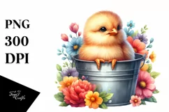 Colorful Baby Chicken in Bucket | Clipart Product Image 1