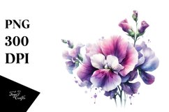 Detailed Sweet Pea Watercolor Splash Product Image 3