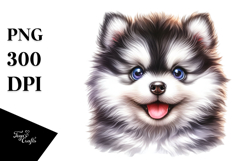 Cute Baby Siberian Husky with Big Eyes, Transparent PNG Product Image 1