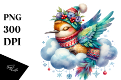 Vibrant Boho Baby Hummingbird Sleeping | Sublimation | Product Image 1