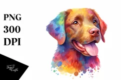 Colorful Chesapeake Bay Retriever | Sublimation | PNG Product Image 1