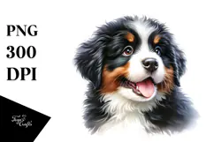 Baby Bernese Mountain Dog PNG Product Image 1