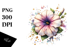 Petunia, PNG Product Image 1