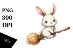 Funny Bunny Witch Broom Clipart Product Image 1