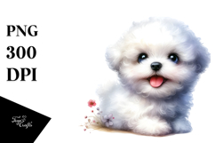 Cute Baby Bichon Frise with Big Eyes, Transparent PNG Product Image 1