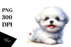 Cute Baby Bichon Frise with Big Eyes, Transparent PNG Product Image 1
