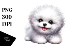 Cute Baby Bichon Frise with Big Eyes, Transparent PNG Product Image 1
