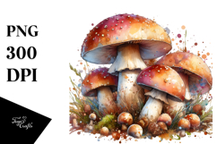 Mushroom Watercolor, PNG Product Image 1