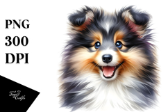 Happy Shetland Sheepdog Baby PNG Product Image 1