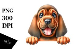 Enthusiastic Funny Bloodhound Looking Over Paper | Product Image 3