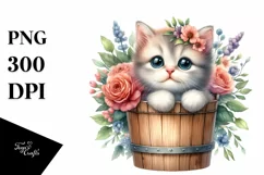 Cute Baby Cat in Bucket with Flowers Product Image 1