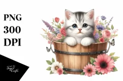 Cute Baby Cat in Bucket with Flowers Product Image 3