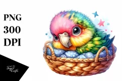 Colorful Baby Macaw Clipart Product Image 1