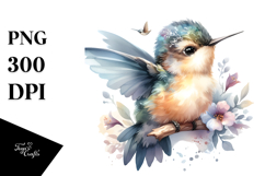 Cute Baby Hummingbird, Energetic PNG Product Image 1