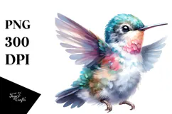 Cute Baby Hummingbird PNG Product Image 1