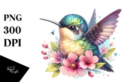Cute Baby Hummingbird, Energetic PNG Product Image 1