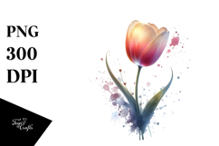 Elegant Tulip, Watercolor PNG Product Image 1