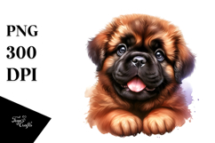 Cheerful Baby Bullmastiff, Transparent PNG Product Image 1
