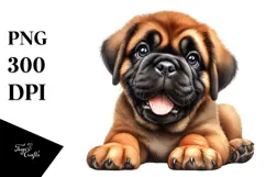 Baby Bullmastiff with Big Eyes PNG Product Image 1