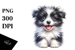 Cute Border Collie with Crazy Fur PNG Product Image 1