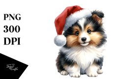 Expressive Shetland Sheepdog PNG Product Image 1