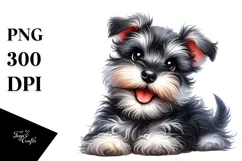 Baby Miniature Schnauzer PNG Product Image 1