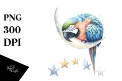 Pastel Macaw Sleeping on Moon | Sublimation | Clipart Product Image 4