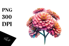Zinnia, PNG Product Image 1