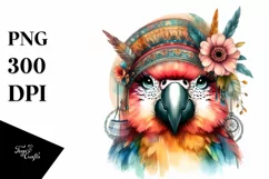 Funny Cute Parrot Vintage Look | Sublimation Clipart Product Image 3