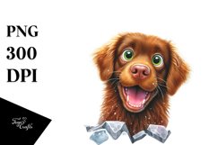 Crazy Looking Chesapeake Bay Retriever | Clipart Product Image 3