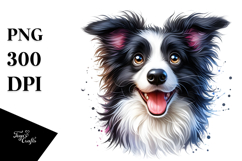 Cute Border Collie PNG Product Image 1