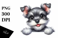 Crazy Miniature Schnauzer Watercolor Clipart Product Image 3