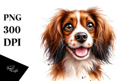 Cute Brittany with Big Eyes PNG Product Image 1