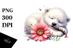 Sleeping Baby Polar Bear PNG Product Image 1
