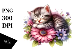 Digital Baby Kitten Sleeping on Flower PNG Product Image 1