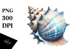 Sea Schell Watercolor Sublimation Clipart Product Image 3