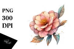 Golden Wooden Camellia, Pastel PNG Product Image 3