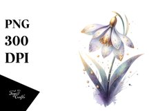 Watercolor Snowdrop | Clipart Product Image 1