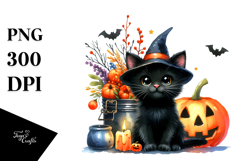 Vibrant Baby Cat Drawing | Clipart Product Image 1