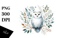 Simple Watercolor Owl, Transparent PNG Product Image 1